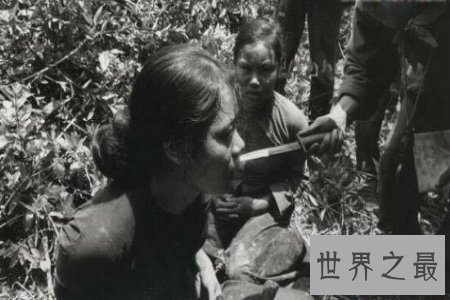 【图】历史不会被淡忘 美莱村惨案假相也不会被埋葬