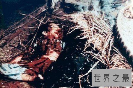 【图】历史不会被淡忘 美莱村惨案假相也不会被埋葬
