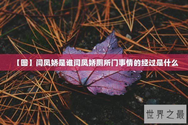 【图】闫凤娇是谁闫凤娇厕所门事情的经过是什么 【图】闫凤娇是谁闫凤娇厕所门事情的经过是什么