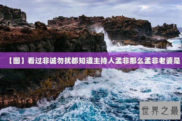 【图】看过非诚勿扰都知道主持人孟非那么孟非老婆是
