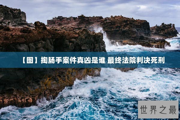 【图】掏肠手案件真凶是谁 最终法院判决死刑