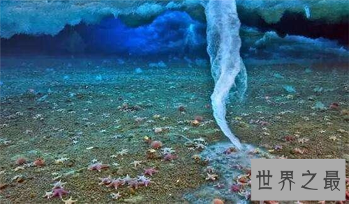 【图】怪雨现象为数不多 曾有人统计下过鱼雨和乌贼雨