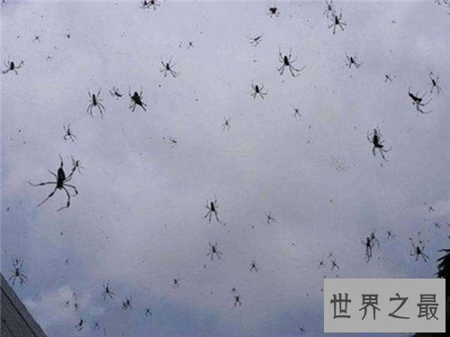 【图】怪雨现象为数不多 曾有人统计下过鱼雨和乌贼雨