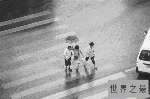 【图】怪雨现象为数不多 曾有人统计下过鱼雨和乌贼雨