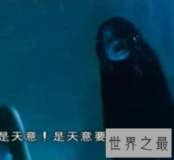 【图】很多恐惧片比较瘆人 那中国恐惧片排行榜前十名