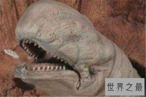 【图】太空蛞蝓是什么货色 星球大战中影迷最感兴味生