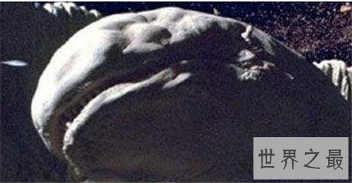 【图】太空蛞蝓是什么货色 星球大战中影迷最感兴味生