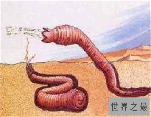 【图】太空蛞蝓是什么货色 星球大战中影迷最感兴味生