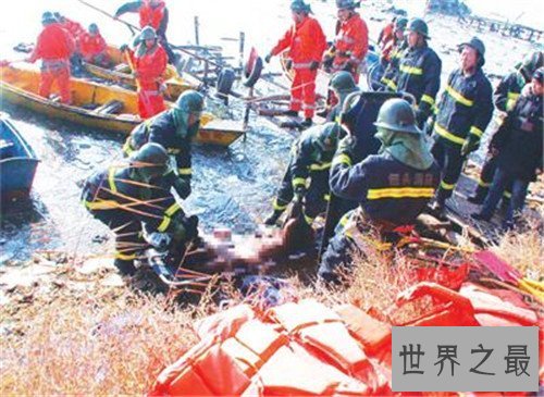 【图】包头空难可谓国内最惨案件 五名遇难空姐照曝光