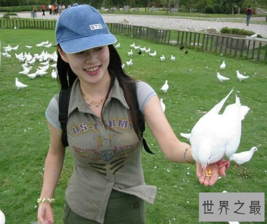 【图】飞向他人床诗一首原创网络歌曲，演唱者也很好