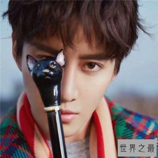 【图】国内最受欢迎的泰国明星 因《初恋》超火的男主