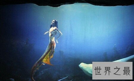 【图】你们见过那些一人传虚;万人传实的美人鱼的图片吗