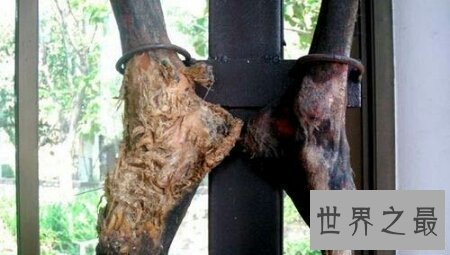 【图】泰国恐惧博物馆是一个去泰国值得去的中央哦