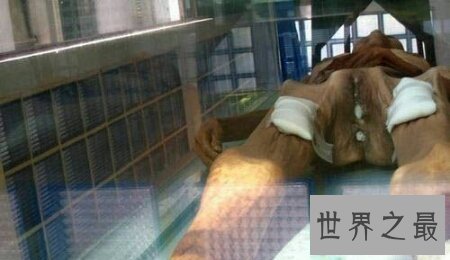 【图】泰国恐惧博物馆是一个去泰国值得去的中央哦