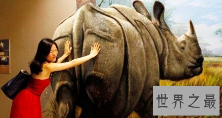 【图】泰国恐惧博物馆是一个去泰国值得去的中央哦