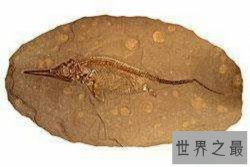 【图】以前古代经常会看到的一种蛇古杯蛇你知道吗