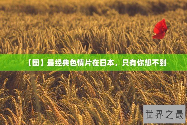 【图】最经典色情片在日本，只有你想不到