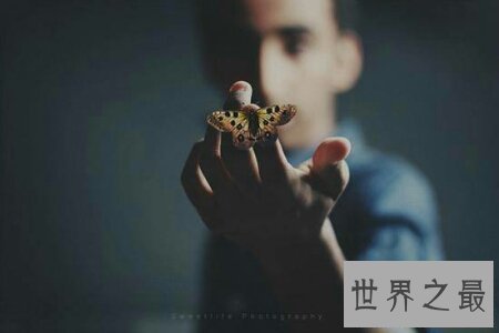 【图】瞬间催眠术是怎样操作的 最凶猛的人是谁