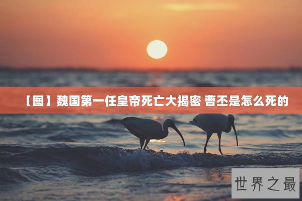 【图】魏国第一任皇帝死亡大揭密 曹丕是怎么死的