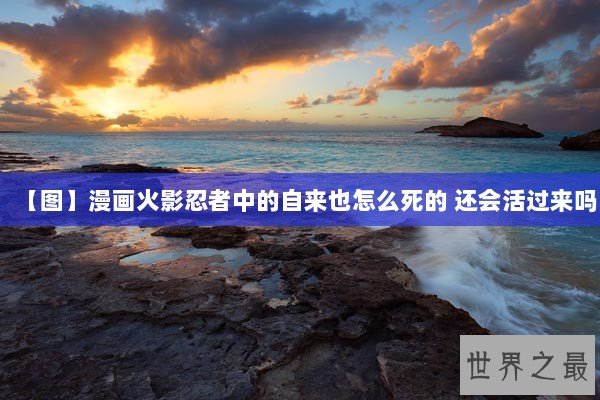 【图】漫画火影忍者中的自来也怎么死的 还会活过来吗