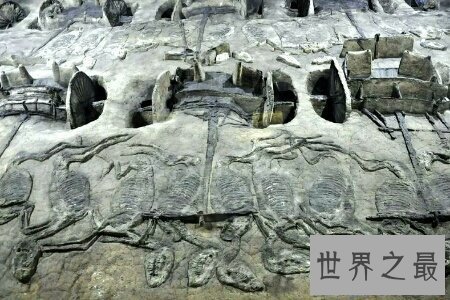 【图】楚国八百年是一部关于楚国历史的历史纪录片 非