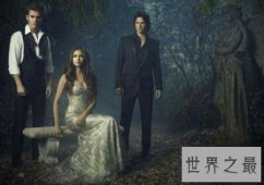 【图】让许多人追了很久的吸血鬼日记8终于迎来大结局