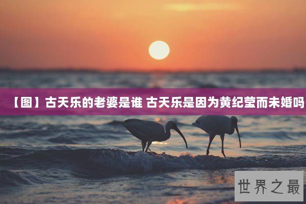 【图】古天乐的老婆是谁 古天乐是因为黄纪莹而未婚吗