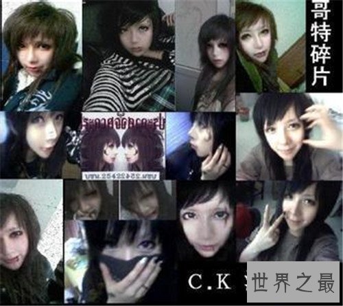 【图】飞向他人的床为什么被禁 歌手沉珂自杀系谰言