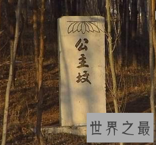 【图】北京有多少公主坟 并且公主坟的来历有多厉害