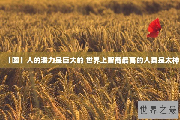 【图】人的潜力是巨大的 世界上智商最高的人真是太神