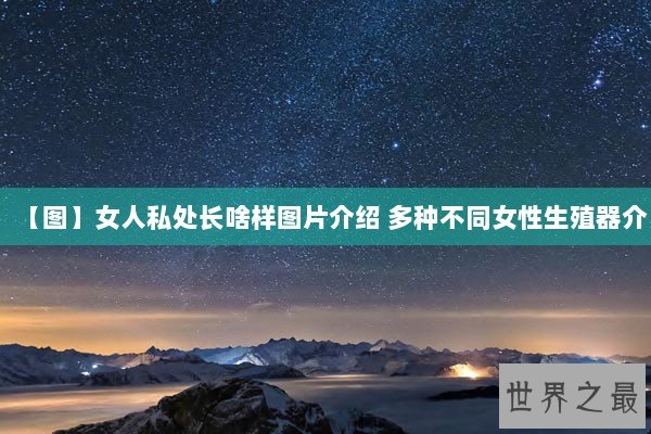 【图】女人私处长啥样图片介绍 多种不同女性生殖器介
