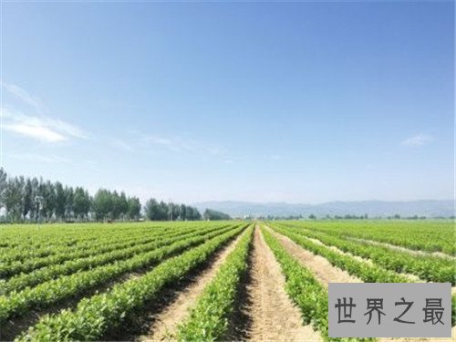 【图】世界各国面积排名情况引见 中国能否成为寰球第