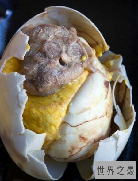 【图】世界上十大最恶心的食物你了解知道多少呢