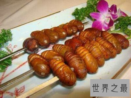 【图】世界上十大最恶心的食物你了解知道多少呢
