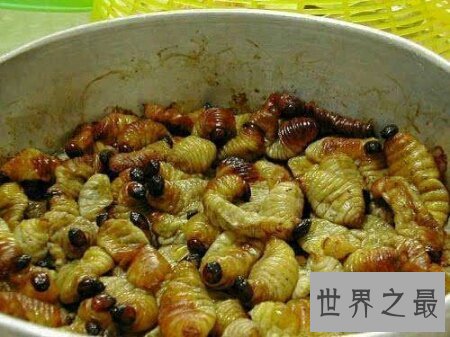 【图】世界上十大最恶心的食物你了解知道多少呢