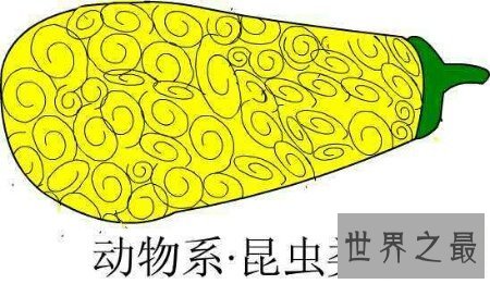 【图】让咱们来捋一捋日本漫画海贼王恶魔果实大全