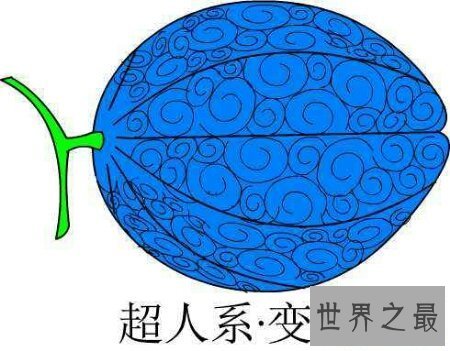 【图】让咱们来捋一捋日本漫画海贼王恶魔果实大全