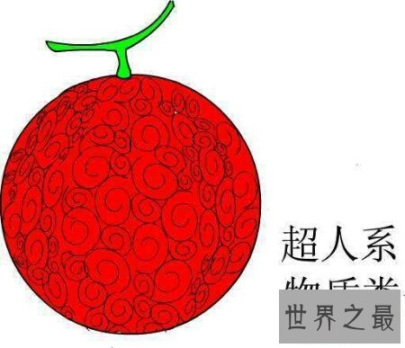 【图】让咱们来捋一捋日本漫画海贼王恶魔果实大全