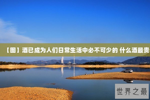 【图】酒已成为人们日常生活中必不可少的 什么酒最贵