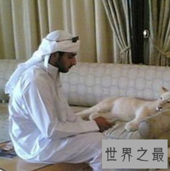 【图】不好王政的迪拜王子拉希德被称为最帅的有钱人