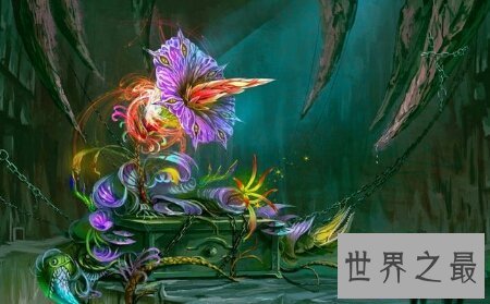 【图】世界上珍稀濒危植物同时也是最大的花尸香魔芋