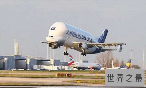 【图】白鲸运输机是什么 不只颜值高功能也不可小视