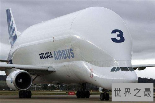 【图】白鲸运输机是什么 不只颜值高功能也不可小视