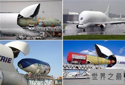 【图】白鲸运输机是什么 不只颜值高功能也不可小视