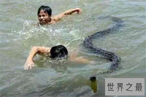 【图】关于蛇的故事有哪些 农夫与蛇已成为事实经典故