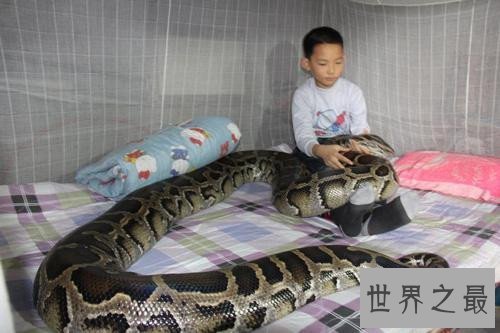 【图】关于蛇的故事有哪些 农夫与蛇已成为事实经典故