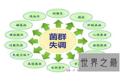 【图】人的身材中有很多的器官 那么人体最大的器官是