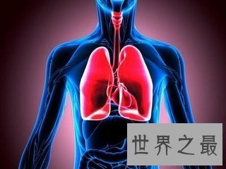 【图】人的身材中有很多的器官 那么人体最大的器官是