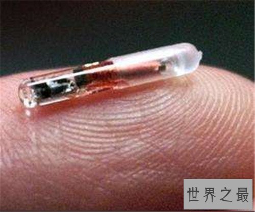 【图】氰化物是不是含有剧毒 生存中常见食物竟然都有