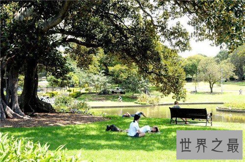 【图】黄文小说网络经典大作 剧情难看情节刺激容易沉